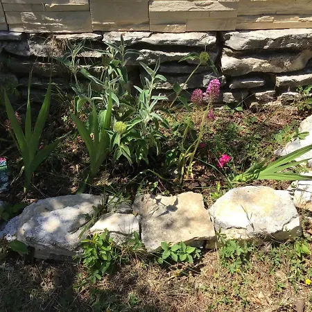 Numero 190 Rue Des Moulins Nid Douillet Au Coeur De La Haute Provence Vacheres * Reillanne