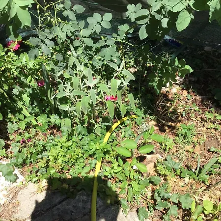 Numero 190 Rue Des Moulins Nid Douillet Au Coeur De La Haute Provence Vacheres Reillanne