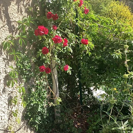 بيت للعطل Numero 190 Rue Des Moulins Nid Douillet Au Coeur De La Haute Provence Vacheres *