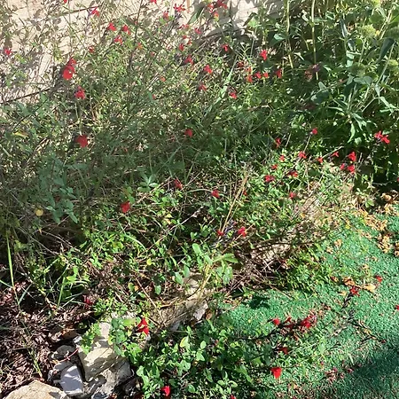 Numero 190 Rue Des Moulins Nid Douillet Au Coeur De La Haute Provence Vacheres بيت للعطل