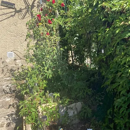 Numero 190 Rue Des Moulins Nid Douillet Au Coeur De La Haute Provence Vacheres بيت للعطل *